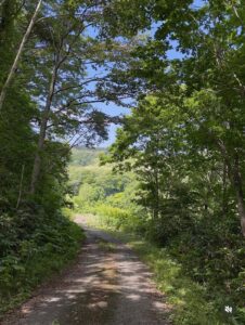 14,000坪の山